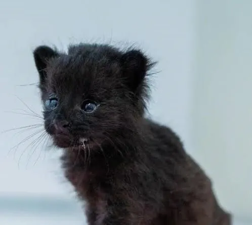 Imagen de WhatsApp 2025-12-01 a las 15.21.48_50f58b9c