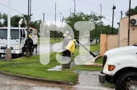 WhatsApp Image 2024-11-26 at 15.27.43