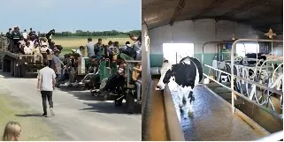 Diseño sin título (5) (2)