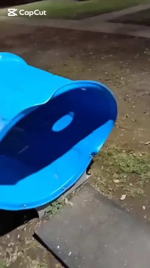 WhatsApp Video 2026-01-28 at 11.07.28 AM