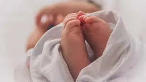 WhatsApp Image 2025-06-15 at 10.19.27