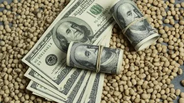 dolar-sojajpg