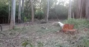 WhatsApp Image 2024-09-12 at 18.33.06