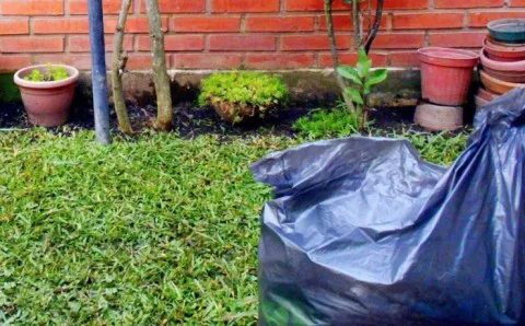 WhatsApp Image 2025-12-19 at 8.25.24 AM