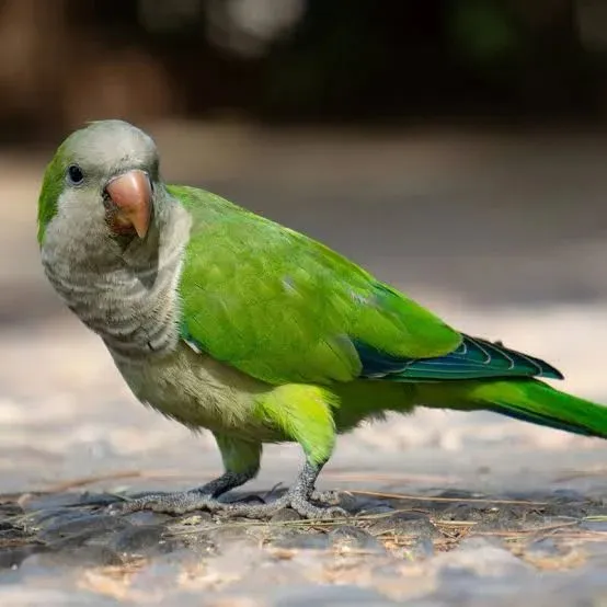 Imagen de WhatsApp 2025-11-12 a las 11.52.19_5a841379