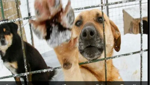 Screenshot_20170624-235838 (1)