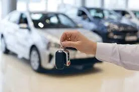 WhatsApp Image 2025-07-01 at 17.26.53 (1)