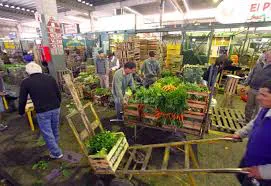 WhatsApp Image 2024-06-07 at 18.54.57