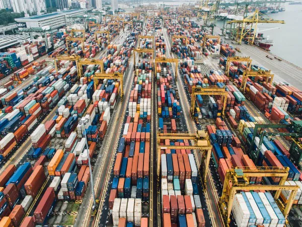 WhatsApp Image 2025-01-27 at 8.36.35 PM