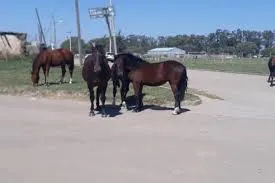 WhatsApp Image 2025-02-05 at 16.22.16