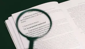 WhatsApp Image 2024-08-28 at 18.57.26