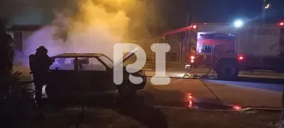 IMG-20250119-WA0013(1)