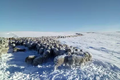 WhatsApp Image 2024-07-15 at 11.15.46