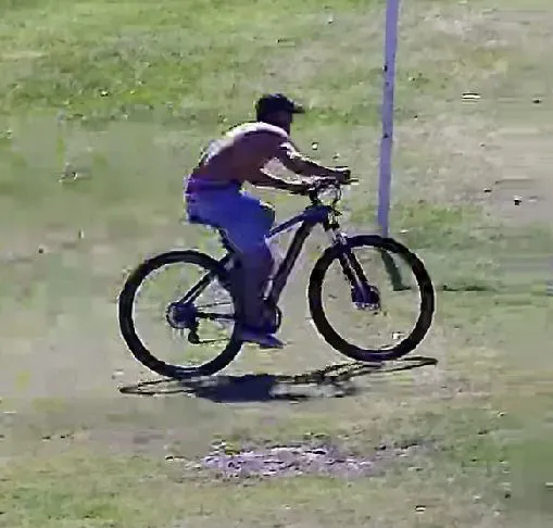 WhatsApp Image 2024-12-10 at 5.50.27 PM