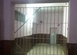 WhatsApp Image 2025-01-20 at 17.05.02