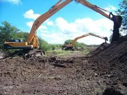 WhatsApp Image 2025-03-20 at 17.12.23