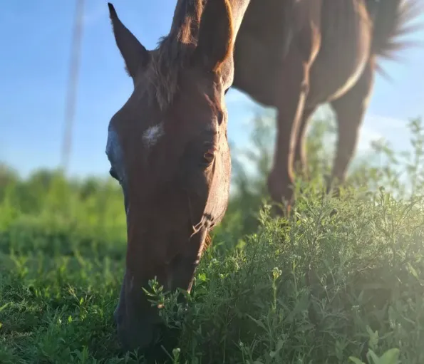 WhatsApp Image 2026-01-11 at 11.01.05 AM