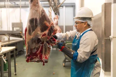 carnicero-cortando-una-pata-de-vaca-en-el-matadero-PBTF00322