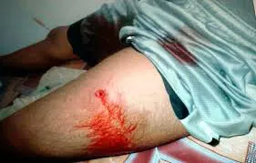 IMG-20250130-WA0000