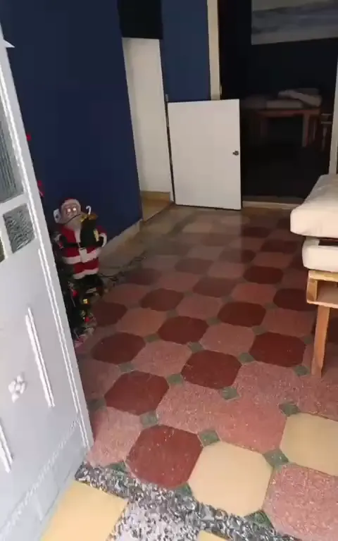 WhatsApp Video 2026-01-14 at 12.18.24 PM