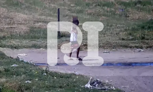 Captura de pantalla 2025-01-10 183042