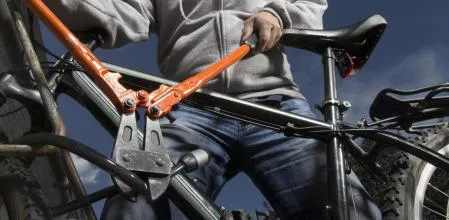 6021638adcf23.r_d.351-451-3581