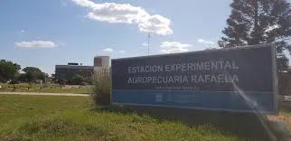 WhatsApp Image 2025-06-26 at 18.47.39