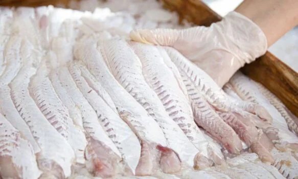 WhatsApp Image 2026-04-03 at 9.55.23 AM