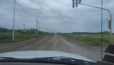 WhatsApp Video 2025-12-23 at 2.10.15 PM