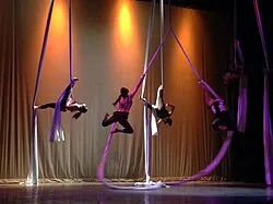 PresentacionDanzaAerea