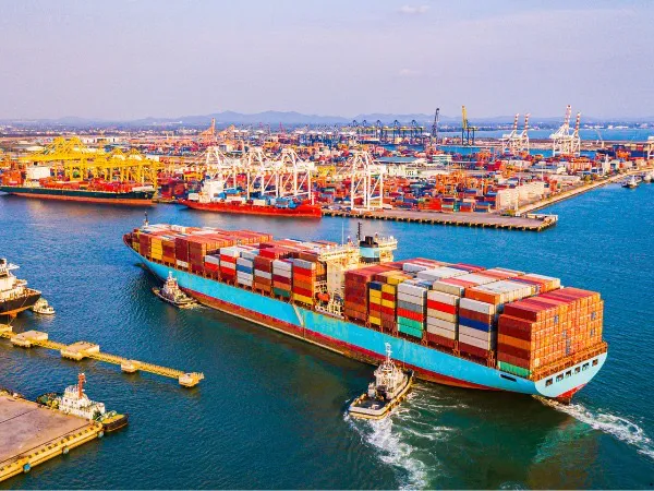 e6f9c6a6-6f3e-40df-ace5-44d2fe218019