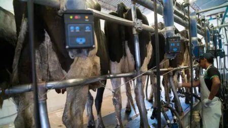 tambo-moderno-agroindustria_1580137082-450x253