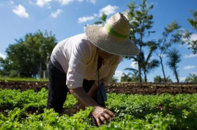 AGROECOLOGÍA (1)_0