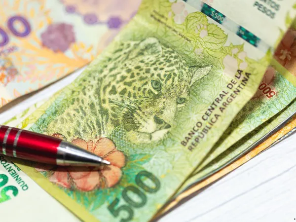 WhatsApp Image 2025-01-06 at 9.06.12 AM