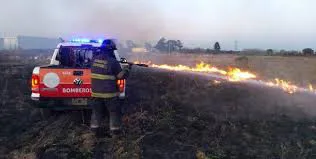 WhatsApp Image 2024-12-14 at 10.17.51 AM