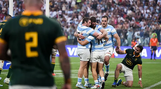 Pumas