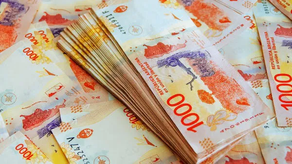 WhatsApp Image 2024-10-13 at 19.26.42