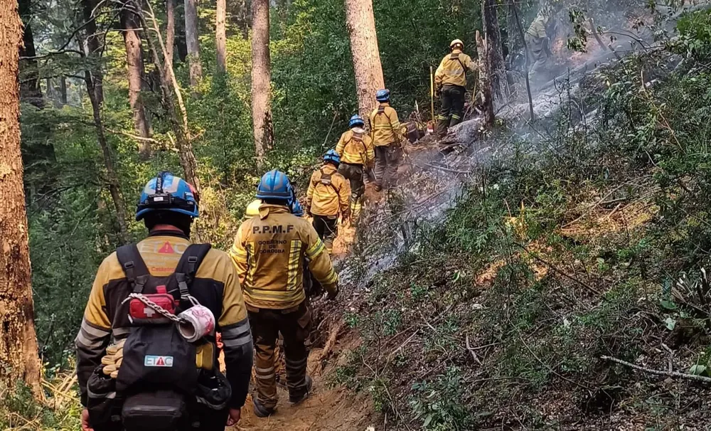 WhatsApp Image 2025-02-02 at 7.44.53 PM