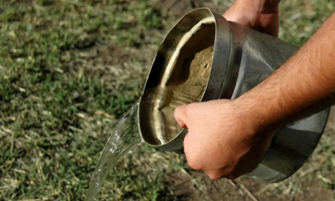 WhatsApp Image 2025-03-04 at 3.06.37 PM