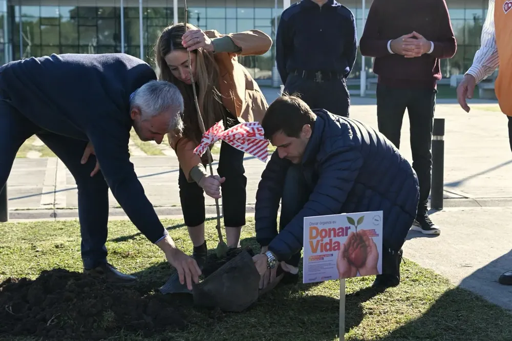 6c9baeea-1f0a-4ec6-82e2-71bb634347cd