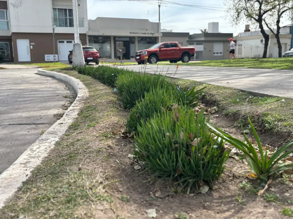 Imagen de WhatsApp 2025-08-13 a las 19.42.53_cf24738e