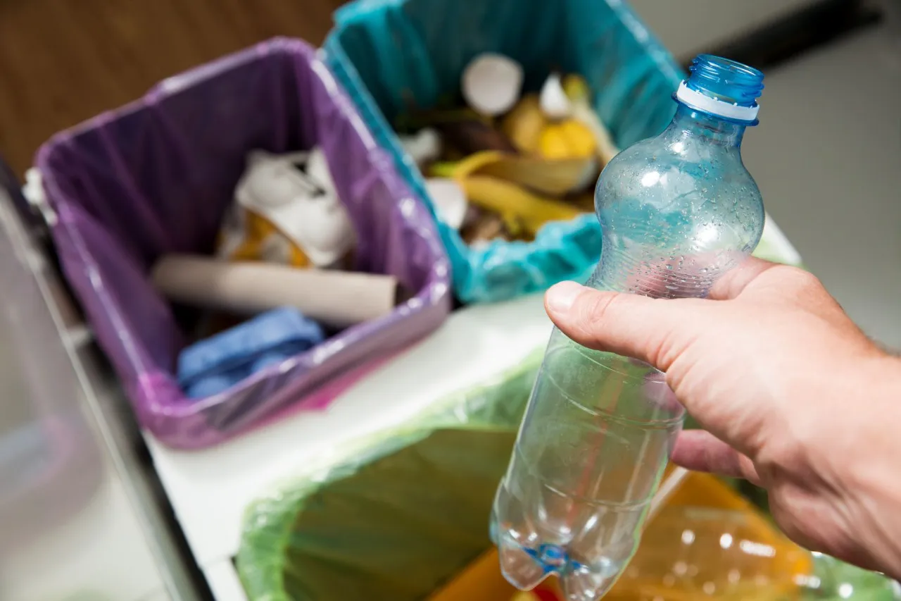 Imagen de WhatsApp 2025-11-13 a las 18.23.22_152c5864