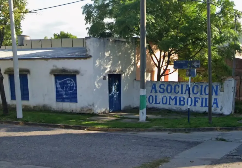 WhatsApp Image 2026-01-19 at 5.55.30 PM