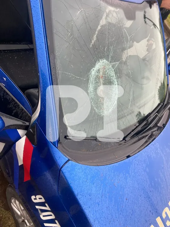 WhatsApp Image 2025-04-07 at 09.16