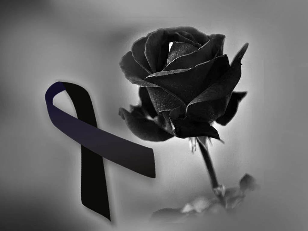 multimedia.normal.a62fc7ce9a01b206.YXZpc29zLWZ1bmVicmVzLTEwMjR4NzY4LTFfbm9ybWFsLndlYnA=