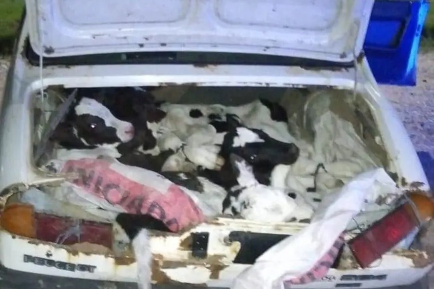 WhatsApp Image 2025-05-20 at 10.45.03 AM