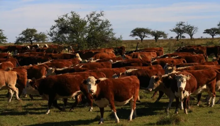 606b12100953ed8872cdcce2bb5ab764