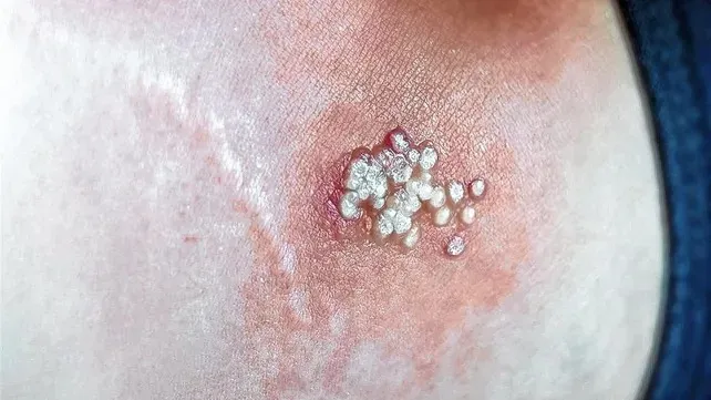 WhatsApp Image 2024-08-15 at 22.35.40