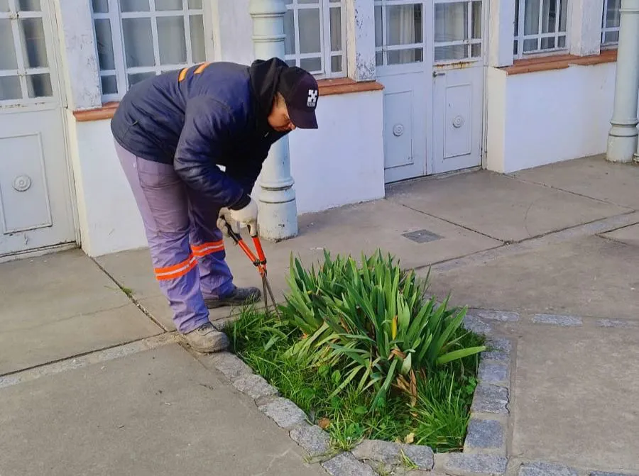 f743a73d-58de-4e16-bedc-87cd60e4ae18