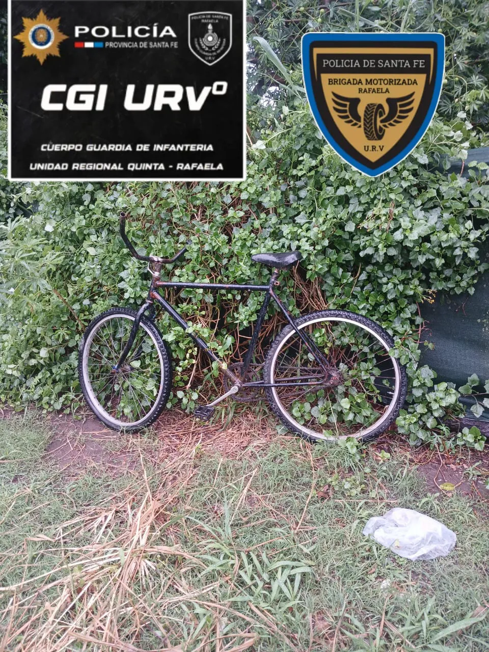 WhatsApp Image 2024-12-21 at 7.53.58 PM